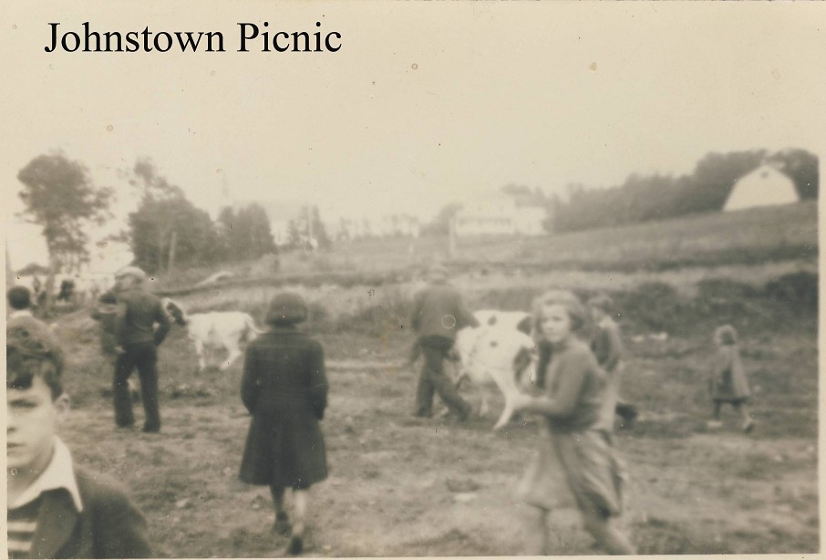Johnstown Picnic